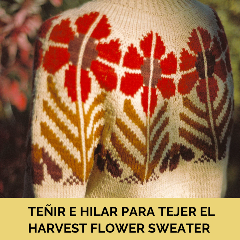Teñir e hilar para tejer un jersey